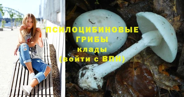 ешки Абинск