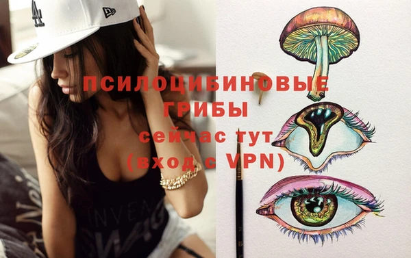 гидра Абдулино